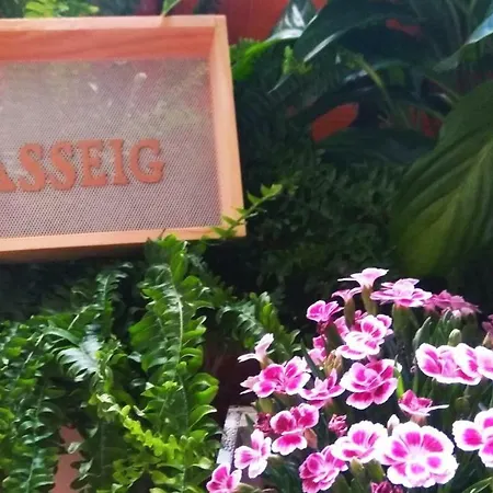 El Passeig *